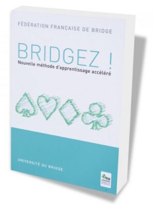 Bridgez !